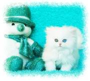 Blue Eyed White Persian kittens for sale